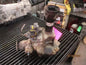 01-04 Tacoma Differential Carrier Front Axle AT Disconnecting 6 Cyl 4.10 Ratio