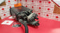 2006 Toyota Tacoma Vapor Canister 2.7 OEM