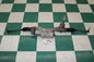 21-22 Mustang Power Steering Rack And Pinion Tie Rod Ends Assembly OEM OE WTY