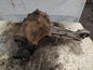 2005-2010 Jeep Grand Cherokee Front Axle Differential Carrier 3.73 Ratio OEM