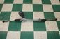 16-22 Prius 1.8L Power Steering Column Gear Box Rack Pinion Assembly Factory OEM