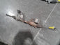 2013-2019 Ford Escape Power Steering Gear Rack And Pinion Assembly OEM