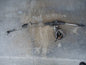 00-05 Toyota Celica POWER STEERING RACK & PINION OEM