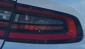 2015-2023 Dodge Charger RH Passenger Quarter Panel Mounted Tail Light Lamp OEM